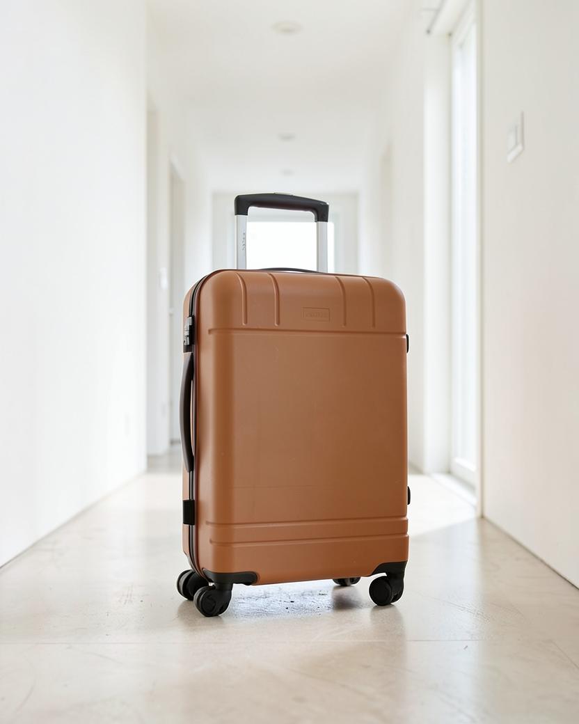 Voyage Neuf Cabin Carry-On
