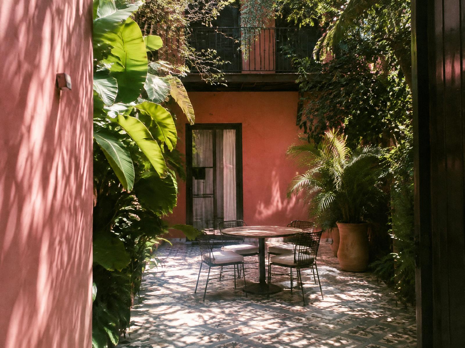 Courtyard in Mexico City with pink walls, tropical plants and patterned tiles